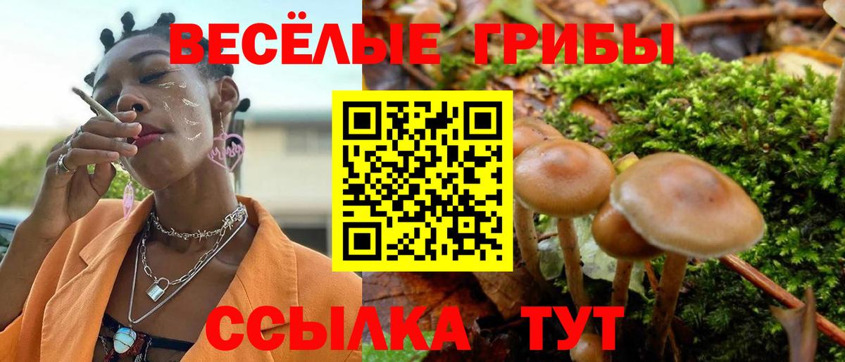 Псилоцибиновые грибы Psilocybine cubensis  Вход с VPN  даркнет сайт  Клинцы 